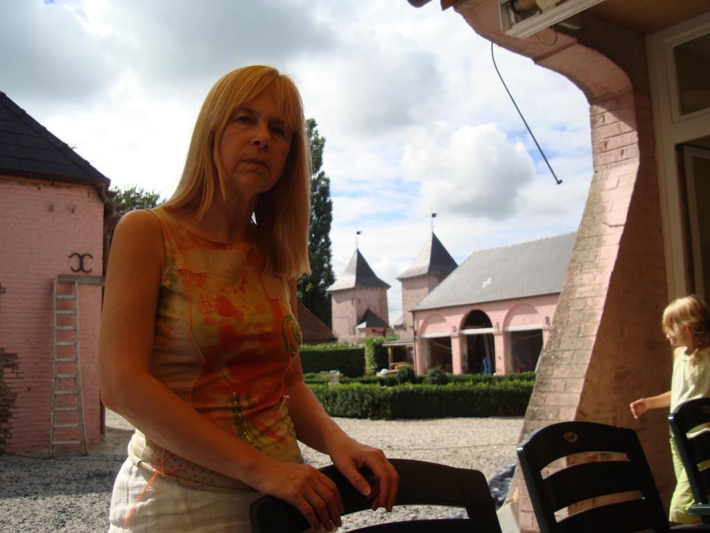 B&B Chateau Bagatelle Frasnes-lez-Anvaing Esterno foto