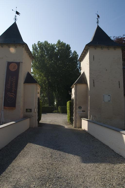 B&B Chateau Bagatelle Frasnes-lez-Anvaing Esterno foto