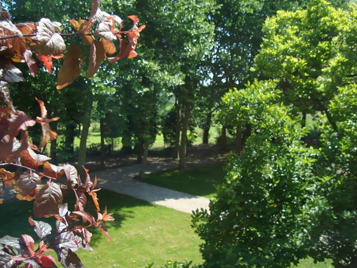 B&B Chateau Bagatelle Frasnes-lez-Anvaing Esterno foto