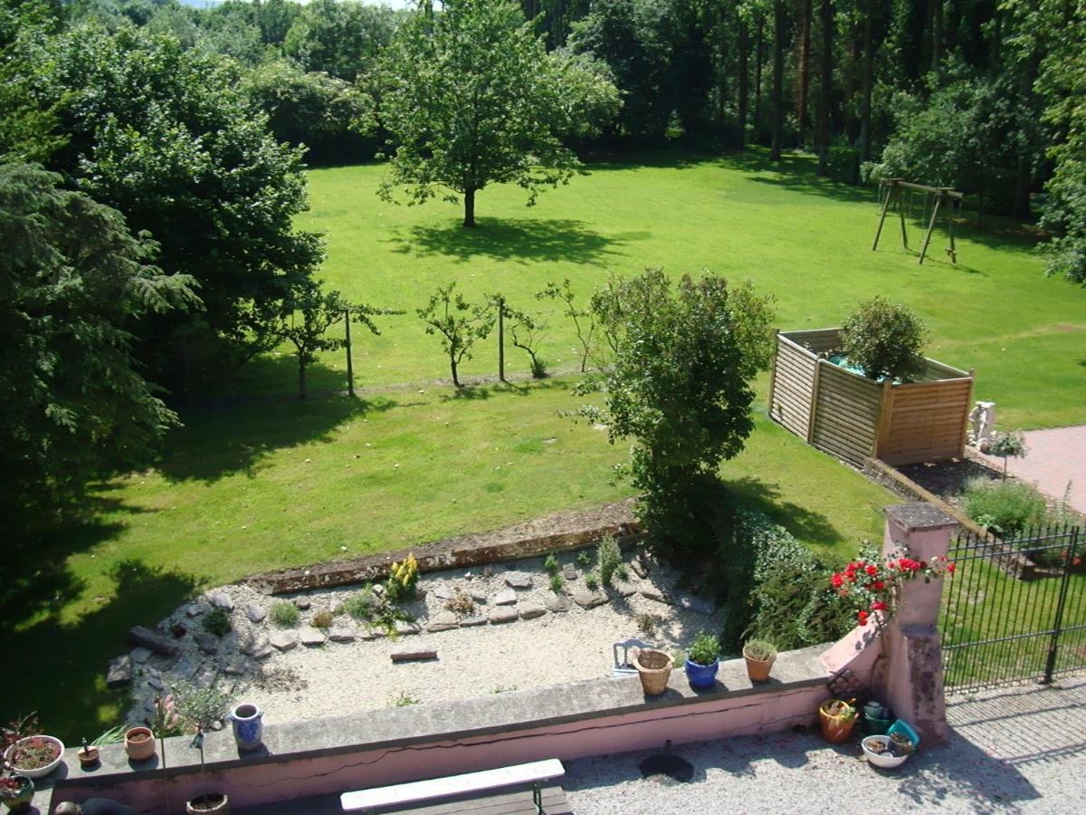 B&B Chateau Bagatelle Frasnes-lez-Anvaing Esterno foto